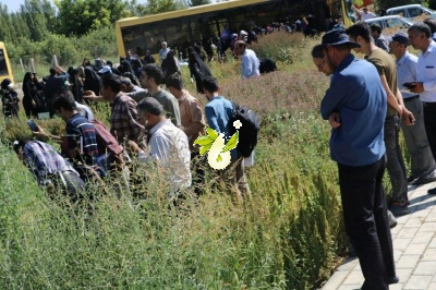 بازدید دانشجویان طب سنتی اسلامی