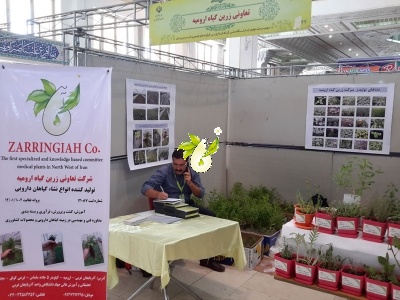 غرفه گیاهان دارویی