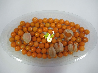 عروسک پشت پرده ( فیسالیس خوراکی تاسمانی)