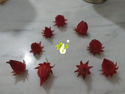 چای ترش