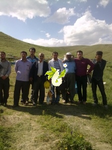 کلاسهای عملی زنبورداری