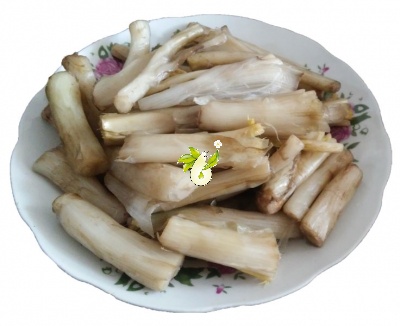 کنگر آب پز شده