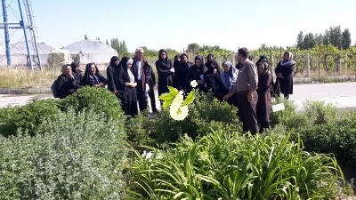 بازدید از کلکسیون گیاهان دارویی شرکت زرین گیاه