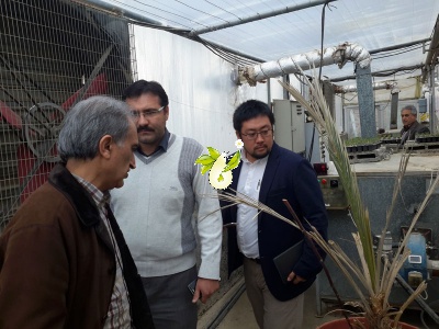 اجرای طرح جایکا در شرکت زرین گیاه ارومیه