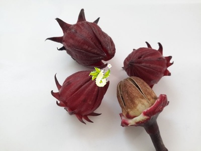 چای ترش