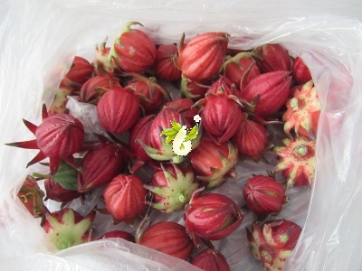 چای ترش