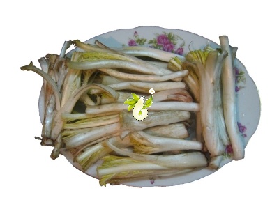 کنگر پاک شده