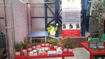 نمایشگاه هفته پژوهش