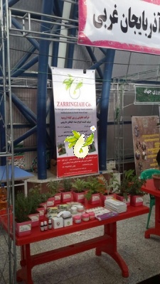نمایشگاه هفته پژوهش