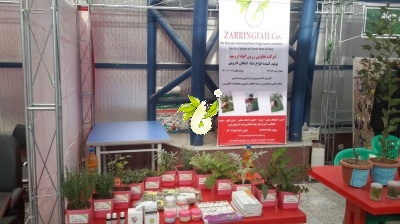 نمایشگاه هفته پژوهش