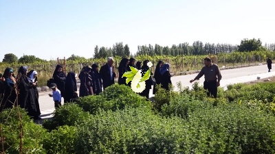 بازدید از کلکسیون گیاهان دارویی شرکت زرین گیاه