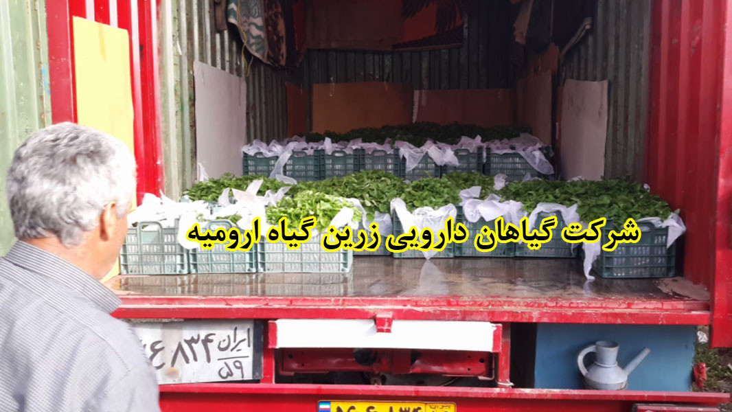ارسال نشاء و قلمه گیاهان دارویی به همه جای ایران