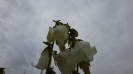 گل استکانی