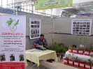 غرفه گیاهان دارویی