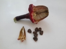 چای ترش