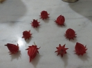 چای ترش