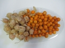  عروسک پشت پرده ( فیسالیس خوراکی تاسمانی)