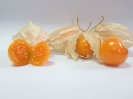  عروسک پشت پرده ( فیسالیس خوراکی تاسمانی)