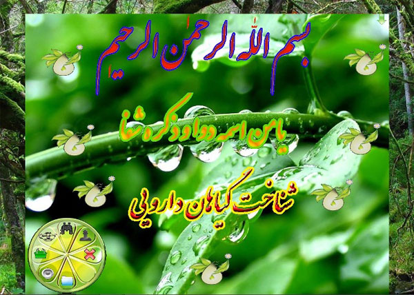 عکسهائی از محیط نرم افزار شناخت گیاهان داروئی عکسهائی از محیط نرم افزار شناخت گیاهان داروئی