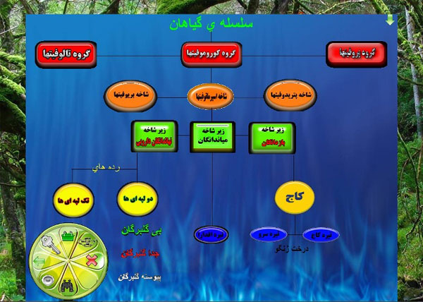 عکسهائی از محیط نرم افزار شناخت گیاهان داروئی عکسهائی از محیط نرم افزار شناخت گیاهان داروئی