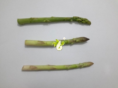 مارچوبه