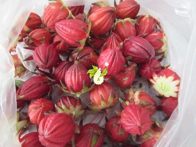 چای ترش