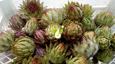 آرتیشو