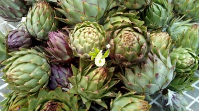 آرتیشو