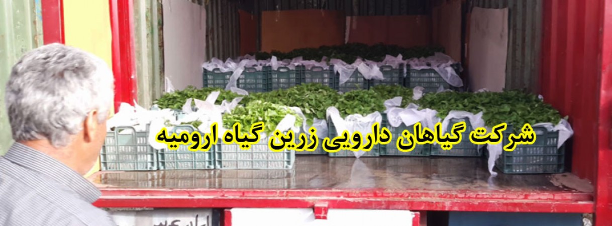 ارسال نشاء و قلمه گیاهان دارویی به همه جای ایران